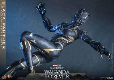 Black Panther: Wakanda Forever - Black Panther