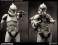 The Clone Wars Militaries of Star Wars - Clone Trooper Deluxe: Veteran