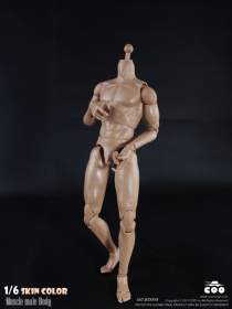 COOMODEL - Muscle Male Body with Skin Color (BD009)
