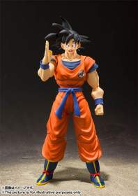S.H.Figuarts - DBZ Son Goku Saiyan Raised on Earth