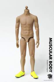 ZC World - Muscular Body (ZC-159)
