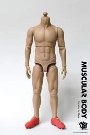 ZC World - Muscular Body (ZC-158)