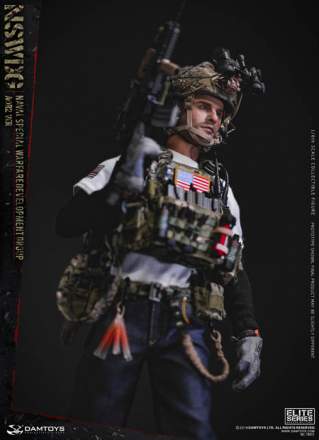 Damtoys - Naval Special Warfare Development Group AOR2 Ver