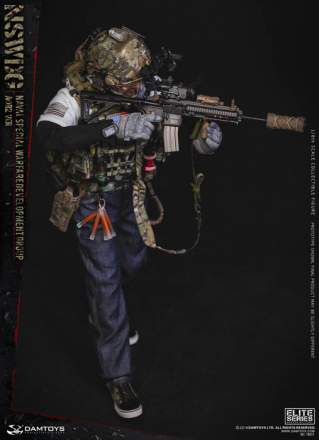 Damtoys - Naval Special Warfare Development Group AOR2 Ver