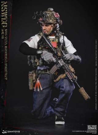 Damtoys - Naval Special Warfare Development Group AOR2 Ver