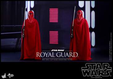Star Wars: Episode VI Return of the Jedi - 1/6th scale Royal Guard