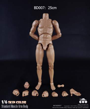 COOMODEL - Standard Muscle Arm Body with Skin Color (BD007)
