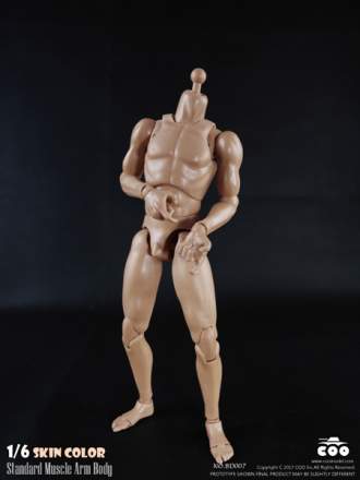COOMODEL - Standard Muscle Arm 27cm HIGH Body (BD008)
