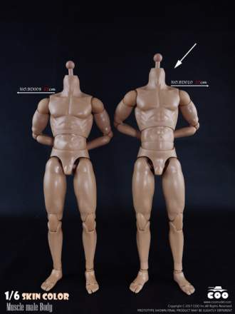 COOMODEL - Muscle Male 27cm HIGH Body (BD010)