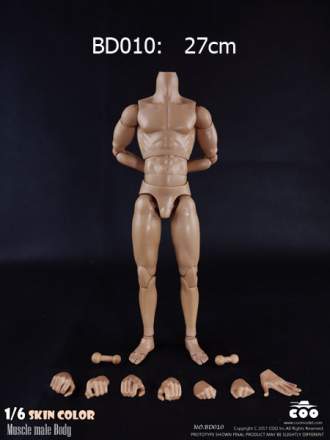 COOMODEL - Muscle Male 27cm HIGH Body (BD010)