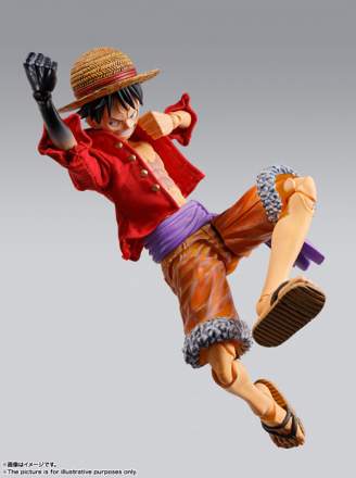 One Piece : Monkey D. Luffy