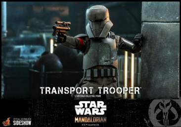 Star Wars: The Mandalorian - Transport Trooper