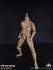 COOMODEL - Muscle Male Body with Skin Color (BD009)
