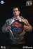 Infinity Studio - Superman Life-Size Bust
