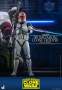 Star Wars : The Clone Wars™ - 501st Battalion Clone Trooper Deluxe Version