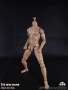 COOMODEL - Muscle Male Body with Skin Color (BD009)