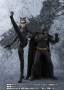 S.H.Figuarts - The Dark Knight Catwoman