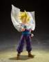 S.H.Figuarts - Super Saiyan Son Gohan - The Warrior who Surpassed Goku